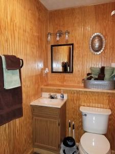 a bathroom with a toilet and a sink and a mirror at KY Lake Area Cabin in Aurora