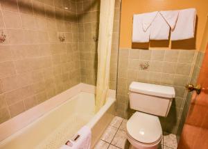 格伦代尔Chariot Inn Glendale - Pasadena的带马桶、浴缸和水槽的浴室 更多16张照片