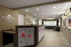 Ο χώρος του λόμπι ή της ρεσεψιόν στο Microtel Inn & Suites By Wyndham Mineral Wells/Parkersburg