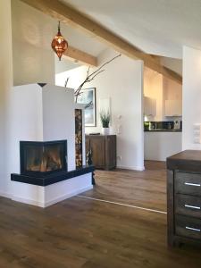 a living room with a fireplace and a kitchen at Shania Residence in Übersee