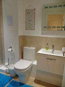 La salle de bains est pourvue de toilettes et d'un lavabo. dans l'établissement Hidden Treasure set within a 1900's Pumping Station, à Londres