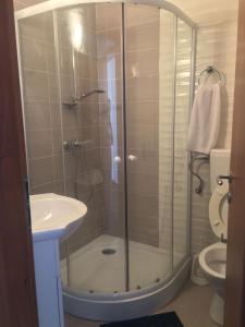 a bathroom with a shower and a sink and a toilet at Casa Mario in Baile Felix