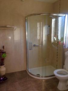 ein Bad mit einer Dusche und einem WC in der Unterkunft Niblick in Bantry
