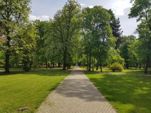 ミシュコルツにあるLa Boheme Apartmanの木々や芝生が茂る公園内の小道