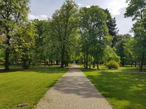einen Weg in einem Park mit Bäumen und Gras in der Unterkunft La Boheme Apartman in Miskolc
