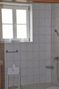a bathroom with a shower and a toilet and two windows at Hotel Garni Meeresgruß in Sassnitz
