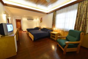 TV a/nebo společenská místnost v ubytování Hotel Restaurant Papillon