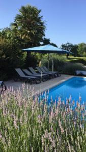 a pool with an umbrella and lounge chairs and flowers at Logis Hôtel-Restaurant Les Voyageurs in La Coquille