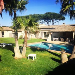 einen Pool in einem Garten mit Palmen in der Unterkunft Villa Made in Saint-Tropez