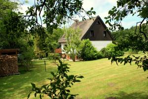 a house in the middle of a grassy yard at Zum Hochufer in Lohme