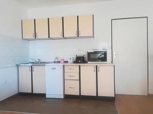 Kuchyň nebo kuchyňský kout v ubytování Apartman Franc