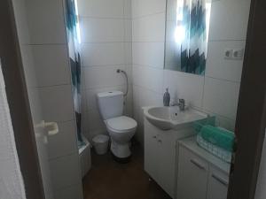 Koupelna v ubytování Apartman Franc