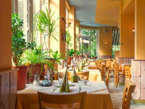Restoran või mõni muu söögikoht majutusasutuses Ducky’s Restaurant | Events | Hotel