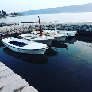 a group of boats sitting in the water at Sobe Tivat in Tivat