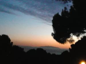 a sunset in the sky with a tree in the foreground at La Casa di Ulisse B&B in Quercianella