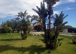 Gallery image of Zaiera Resort Siracusa in Solarino