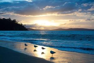 Pantai di atau di dekat rumah liburan