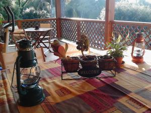 a table with potted plants on a porch at La Casa di Ulisse B&B in Quercianella