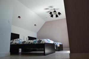 Schlafzimmer mit einem Bett und einem Deckenventilator in der Unterkunft L'escapade tannaysienne in Tannay