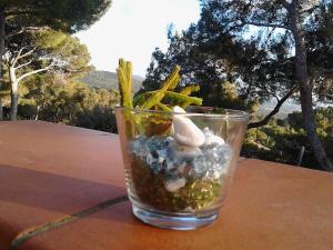 a glass vase filled with rocks and seashells at La Casa di Ulisse B&B in Quercianella