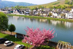 une ville au bord d'une rivière avec des voitures garées à côté d'une ville dans l'établissement Pension Adelheid Moselhype&Wine, à Zell