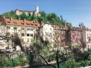 Afbeelding uit fotogalerij van River and Castle View Apartment Rose Tour As Ljubljana in Ljubljana