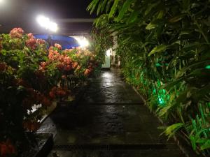 Zahrada ubytování Pousada Doce Paraty