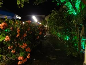 Zahrada ubytování Pousada Doce Paraty