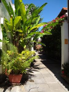 Zahrada ubytování Pousada Doce Paraty
