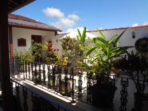 Zahrada ubytování Pousada Doce Paraty