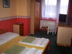 a bedroom with a bed and a tv in it at Hotel Flóra** in Orosháza