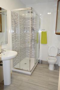 a bathroom with a shower and a toilet and a sink at Travelers Rest in Pamplona
