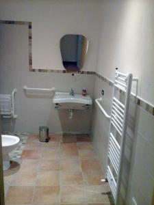 y baño con lavabo y aseo. en Agriturismo Frigionaia, en Carmignano