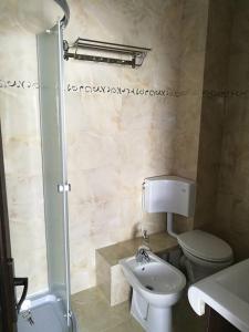 La salle de bains est pourvue de toilettes, d'un lavabo et d'une douche. dans l'établissement Vila Teju Valeni, à Vălenii de Munte