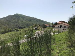 a house in a field with a mountain in the background at B&B Masseria Cozzi in Lauria Inferiore