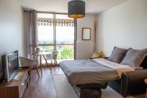 TV a/nebo společenská místnost v ubytování Studio de charme au coeur d'un Parc + 23 fotografií
