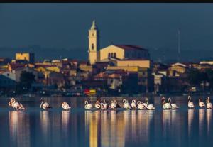 Imagen de la galería de Casale Villa Giulia Marina di Lesina, en Lesina