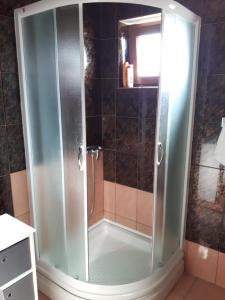 a shower with a glass door in a bathroom at Apartman Petra & Tena in Slunj +38 photos
