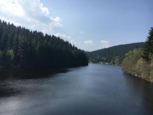 a view of a river with trees in the background at Weitblick in Sankt Andreasberg