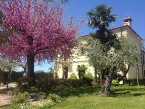 Imagen de la galería de Agriturismo Villa Vetiche, en Rocca San Giovanni