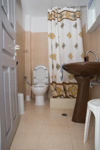 a bathroom with a toilet and a shower curtain at Captain Manos Studio Apartments in Grikos