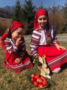 Billede fra billedgalleriet på Pensiunea Aurora Izvorul Muntelui i Bicaz