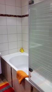 ホッケンハイムにあるSchöne Ferienwohnung-Hockenheimのバスルーム(ガラス張りのシャワー付きのバスタブ付)