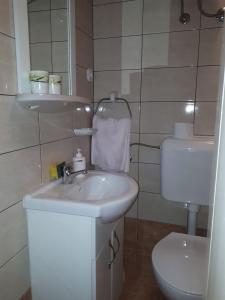 Koupelna v ubytování Guest House Robert i Mirna