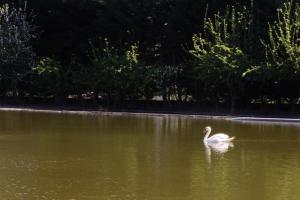 Gallery image of Casa do Lago in Amares