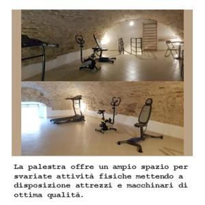 Fitness centrum a/nebo fitness zařízení v ubytování Domus Arsia