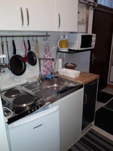 a small kitchen with a stove and a sink at Centar-August Senoa in Zagreb