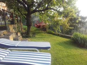 Vonkajšia záhrada v ubytovaní Casa Palmira