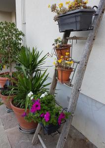 Imagen de la galería de Ai Due Vecchi Ulivi, en Garlate