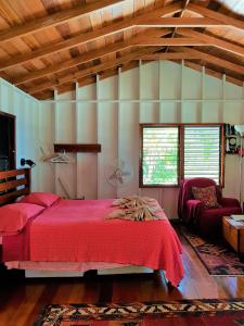 Gallery image of Carolyn's House in Caye Caulker